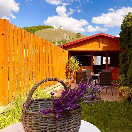Guesthouse Mikulas Mikulov - Free Parking In The City Center ภายนอก รูปภาพ