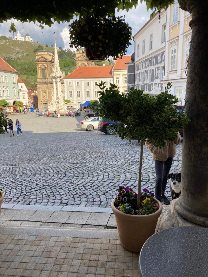 Guesthouse Mikulas Mikulov - Free Parking In The City Center ภายนอก รูปภาพ
