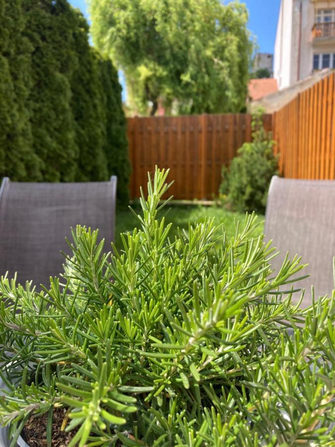 Guesthouse Mikulas Mikulov - Free Parking In The City Center ภายนอก รูปภาพ