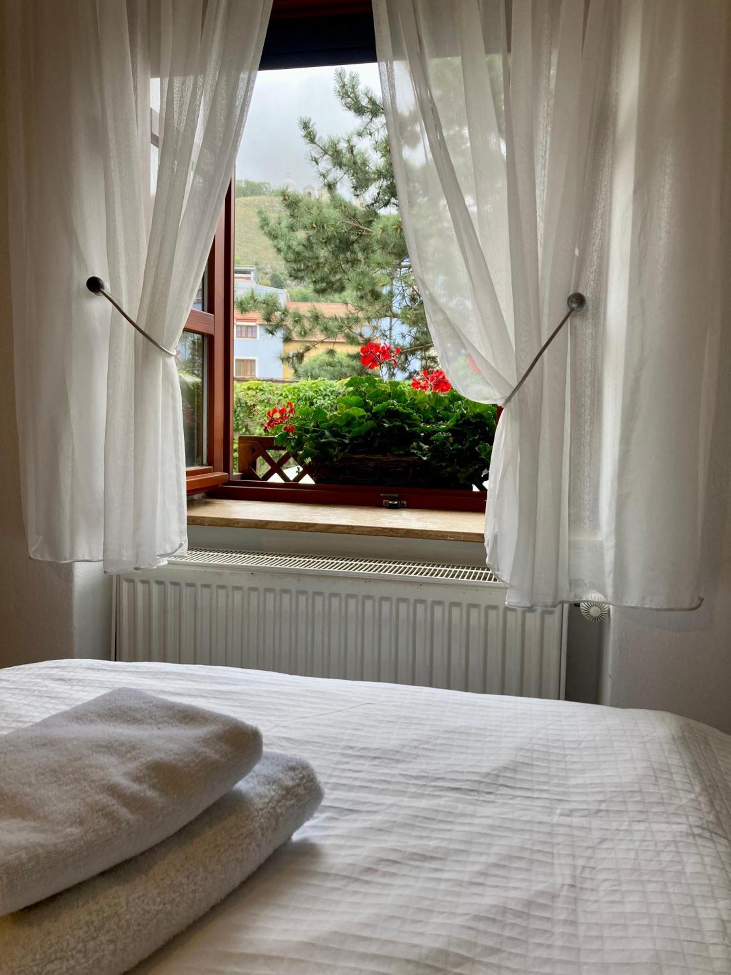 Guesthouse Mikulas Mikulov - Free Parking In The City Center ภายนอก รูปภาพ